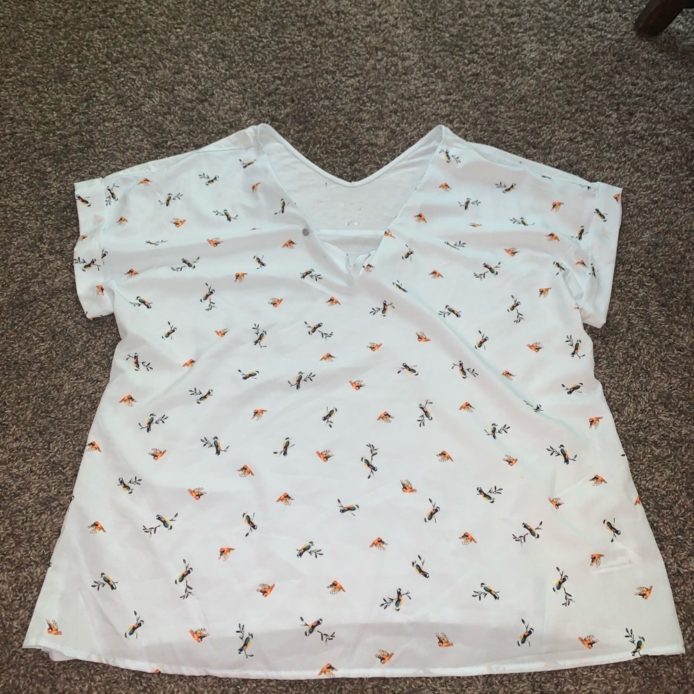 Ss top